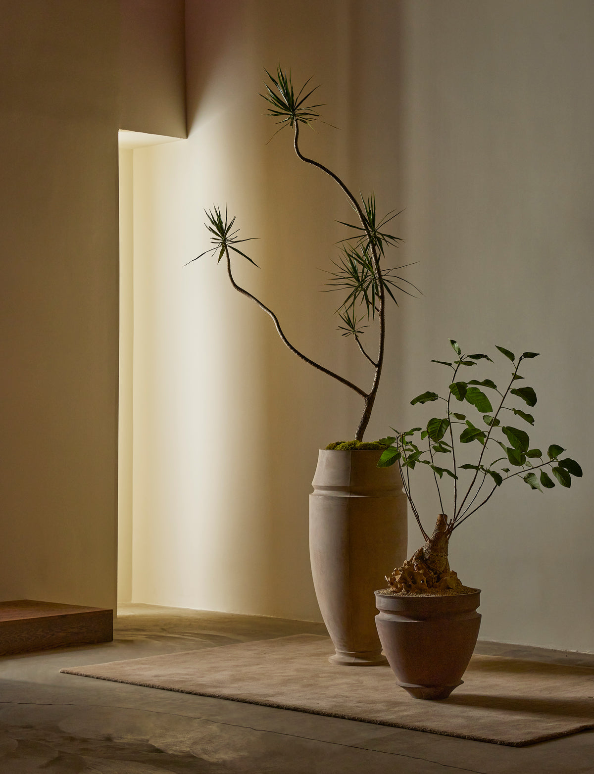 Artifact 06 Planter