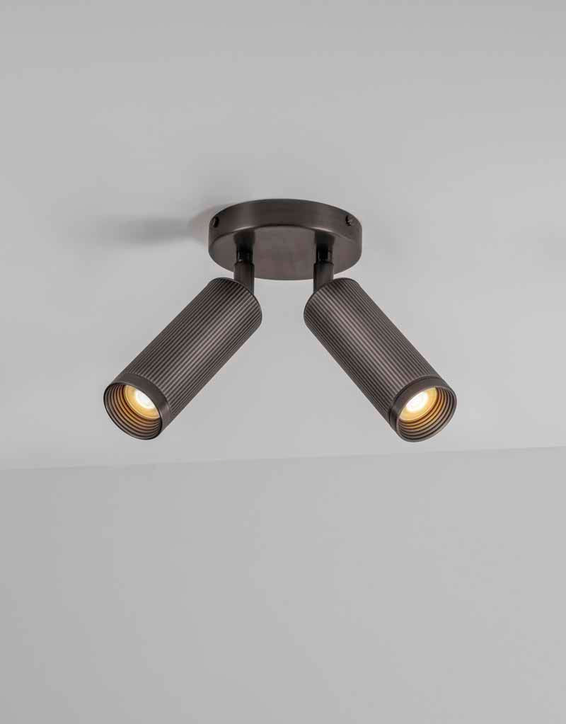 Spot Double Ceiling Light