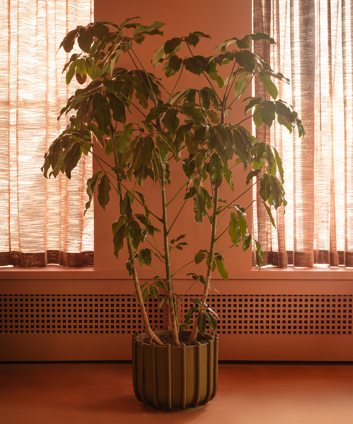 Planter No. I - Magna