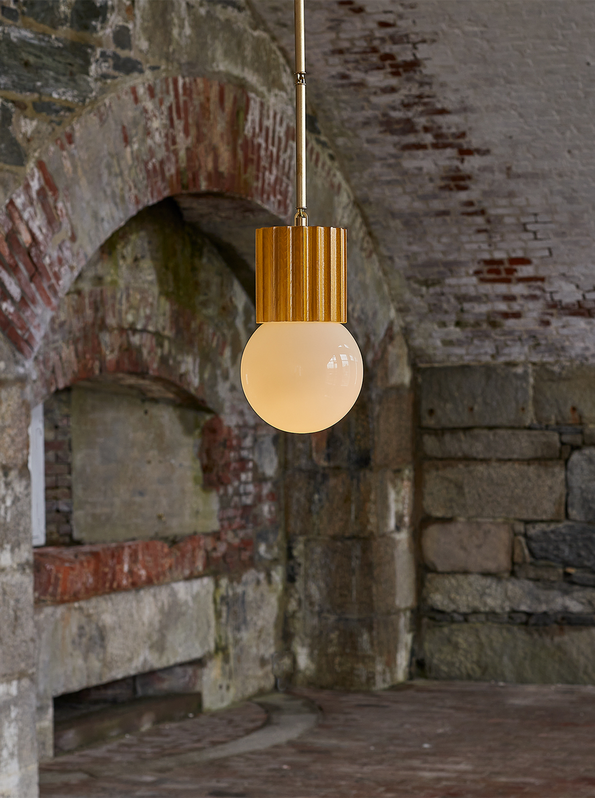 Aster Pendant Globe