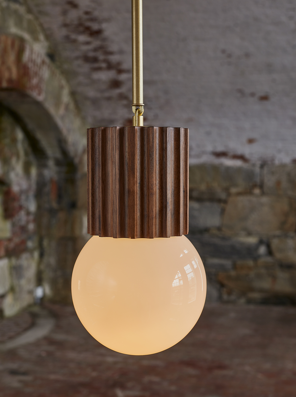 Aster Pendant Globe