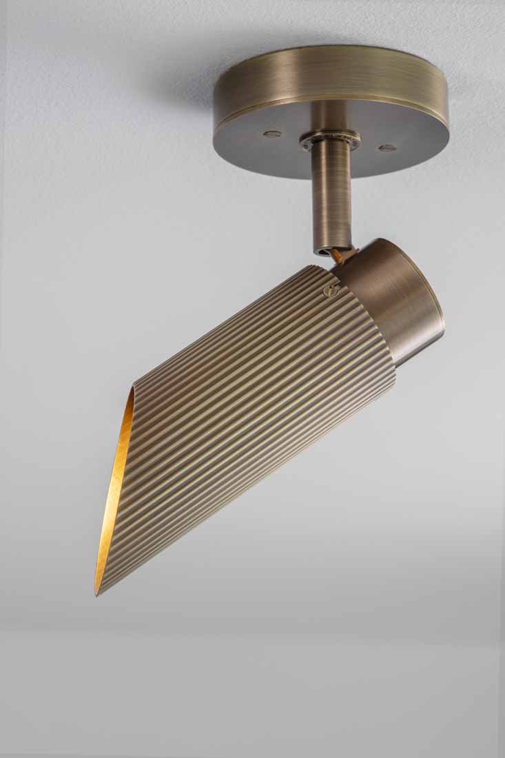 Spot Pro Ceiling Light