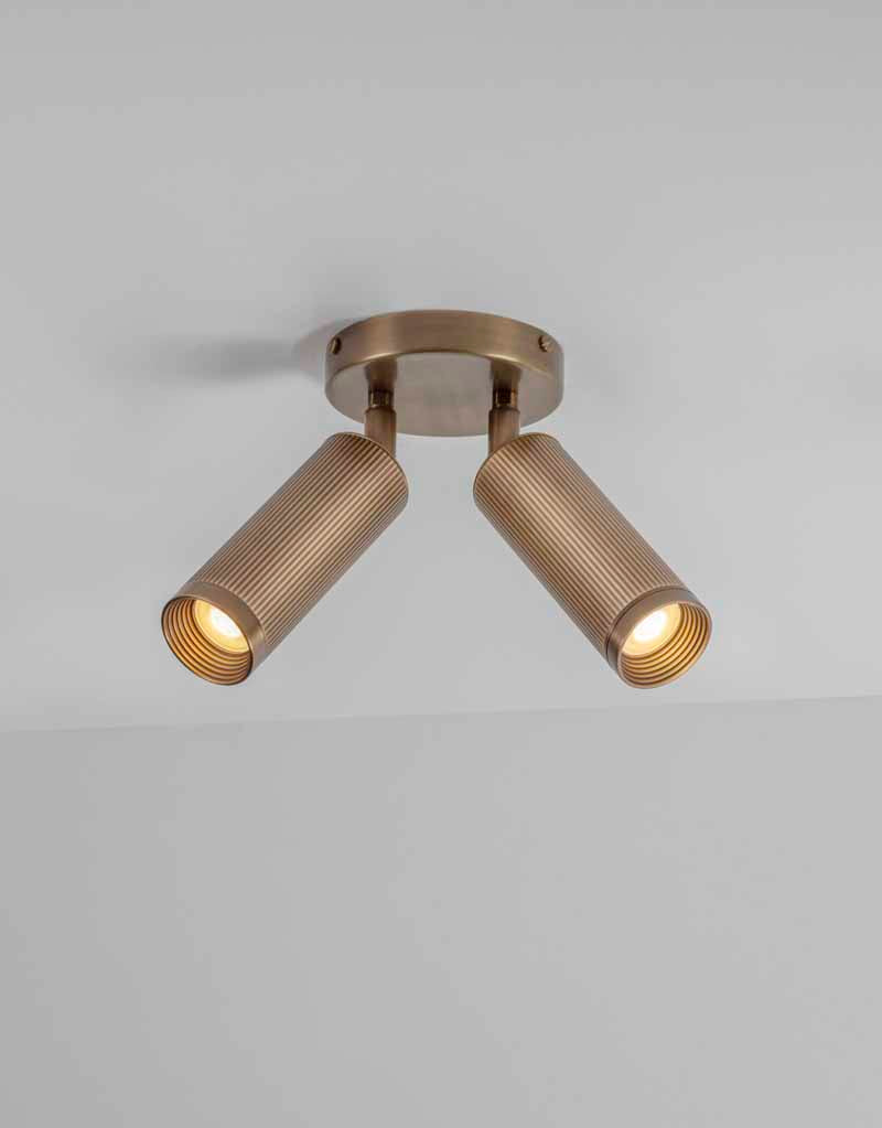 Spot Double Ceiling Light