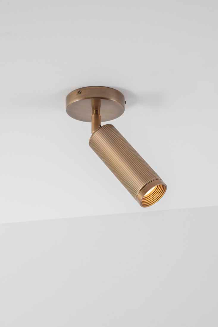 Spot Single Ceiling Light
